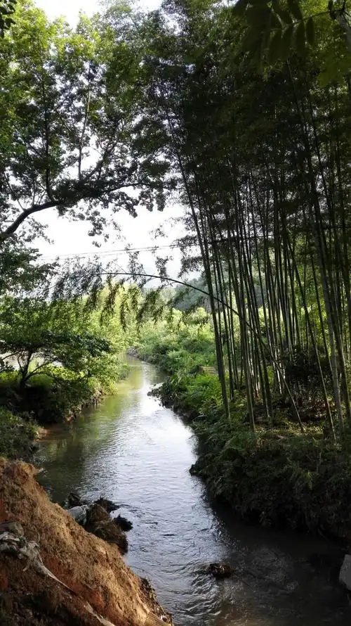 竹林小溪,流水人家!向往!