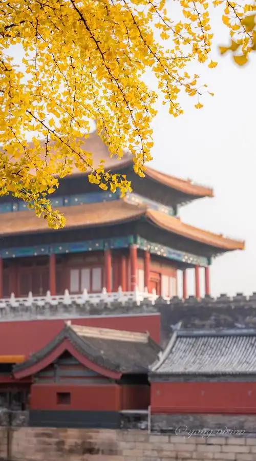 北京深秋美景如画##故宫