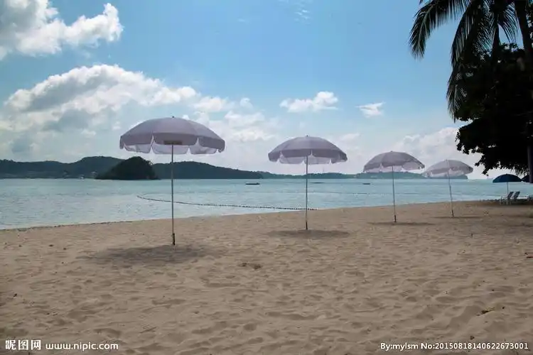 沙滩太阳伞图片