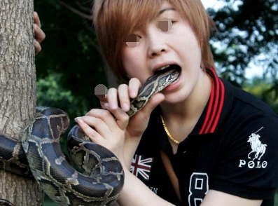 美女表演杂技"吞蛇", 不料蛇竟伸出舌头,美女冷静处理