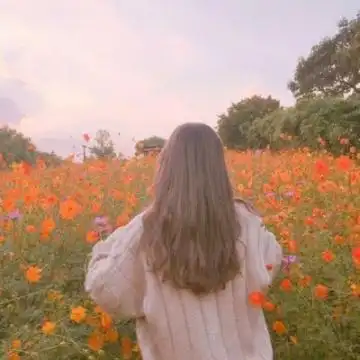 2019最新好看女生头像大全 有气质的微信女生头像