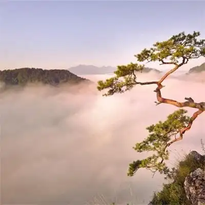 超治愈的唯美风景_风景静物头像_我要个性网