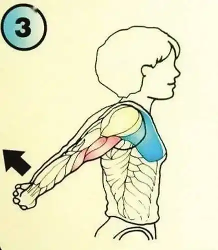 老年人拉伸,这些动作能够放松肌肉