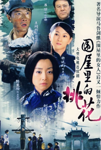 王凯演的电视剧里面有个叫夏禾的是什么电视