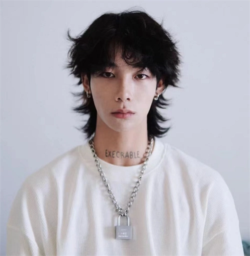 超酷的男生发型推荐 个性狼尾鲻鱼头_男士短发 - 美发站