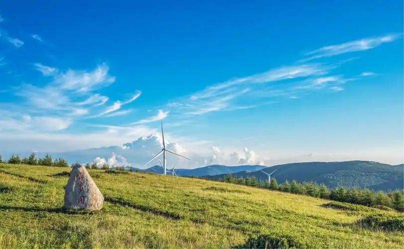 蓝天白云,高山草甸配着远处的大风车,养眼啊!