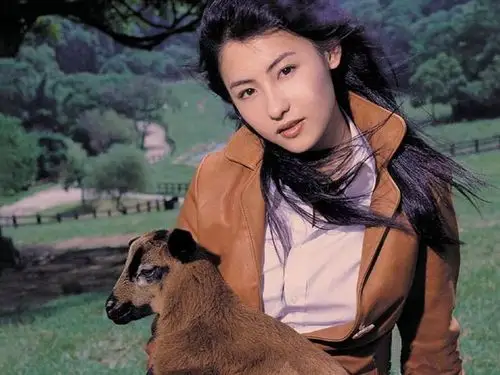 张柏芝,1980年5月24日出生于中国香港,毕业于澳大利亚rmit holmes