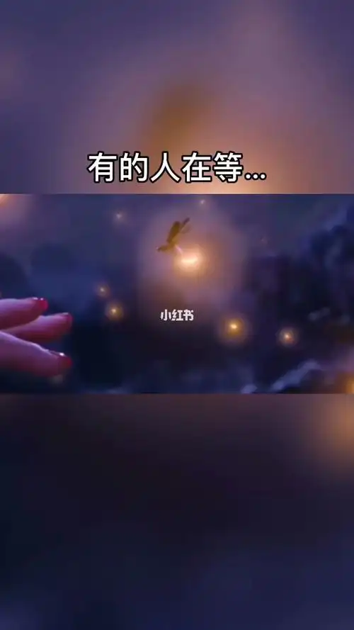 有的人在等一个消息有的人在等一个好友申请有的人你在等什么呢