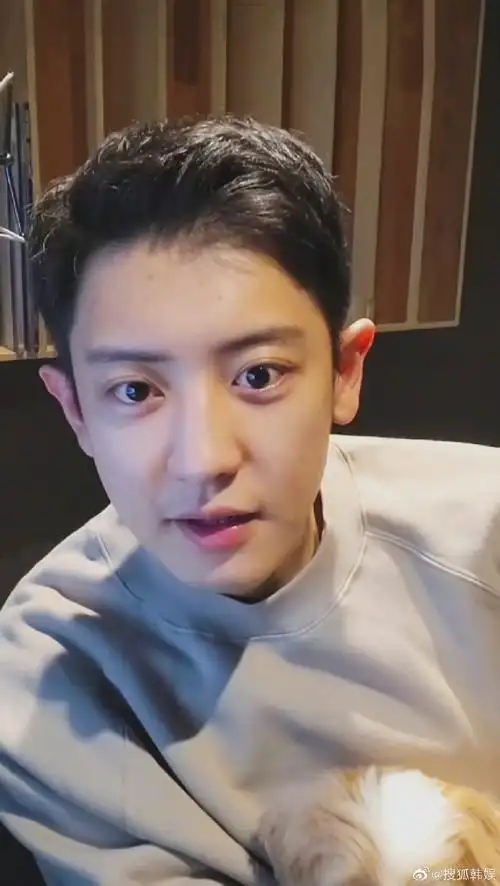 是状态超级好的素颜清爽帅哥!#朴灿烈直播状态#朴灿烈超话exo超话