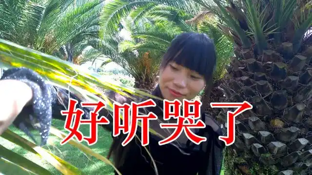 经典老歌!一曲《十三亲》句句太真,太感动,好听极了!