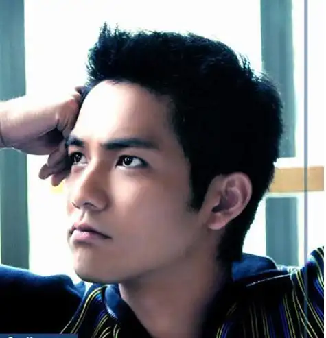 data-lemmaid="50041231">中国香港 /a>,华语影视男演员,流行乐歌手