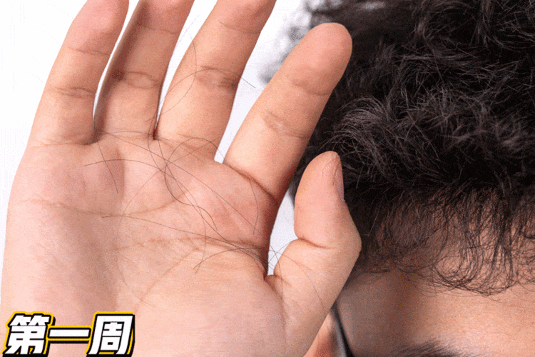 800_533gif 动态图 动图