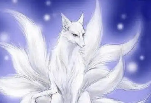 千年九尾白狐手机壁纸 - 搜狗图片搜索
