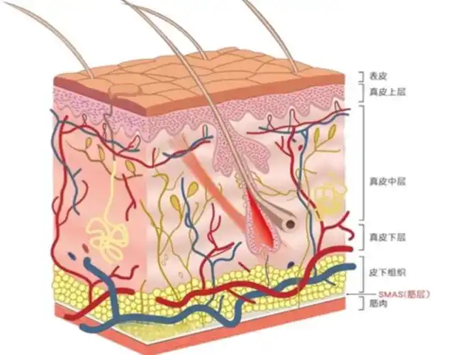 热拉提plus可以作用多深?