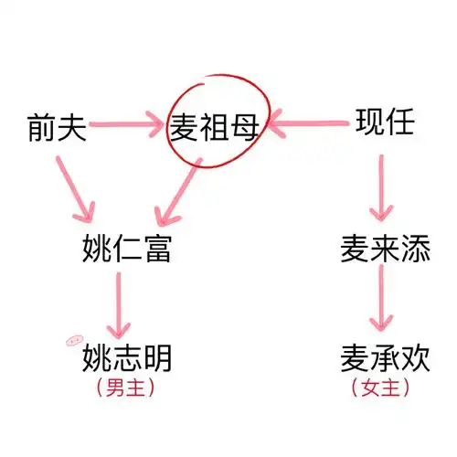 用家有儿女代承欢记男女主关系