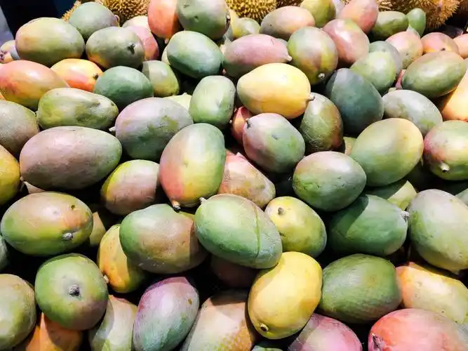 十月初一寒衣节,青县信誉楼水果组为您推荐祭祀果品