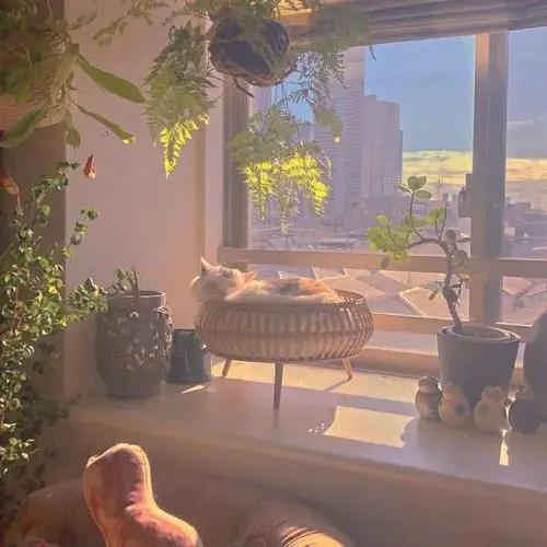 ins意境优质唯美背景图