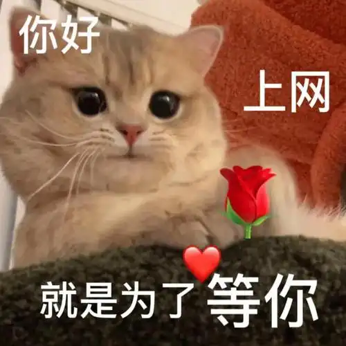 等你好久了小黄狗搞笑斗图可爱gif动图_动态图_表情包下载_soogif