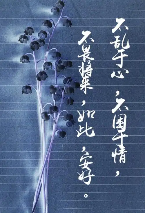 古风语句唯美诗句淡雅唯美古风意境句子