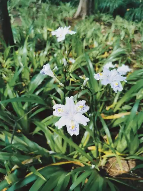 伏羲殇|lofter(乐乎) - 让兴趣,更有趣