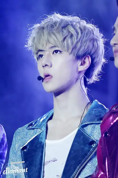 exo图片全体单人照