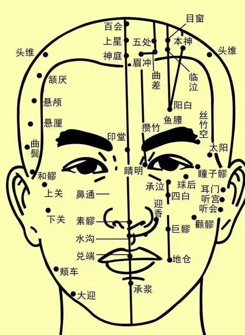 面部穴位