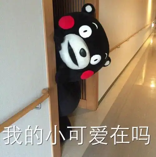 我的小可爱在吗