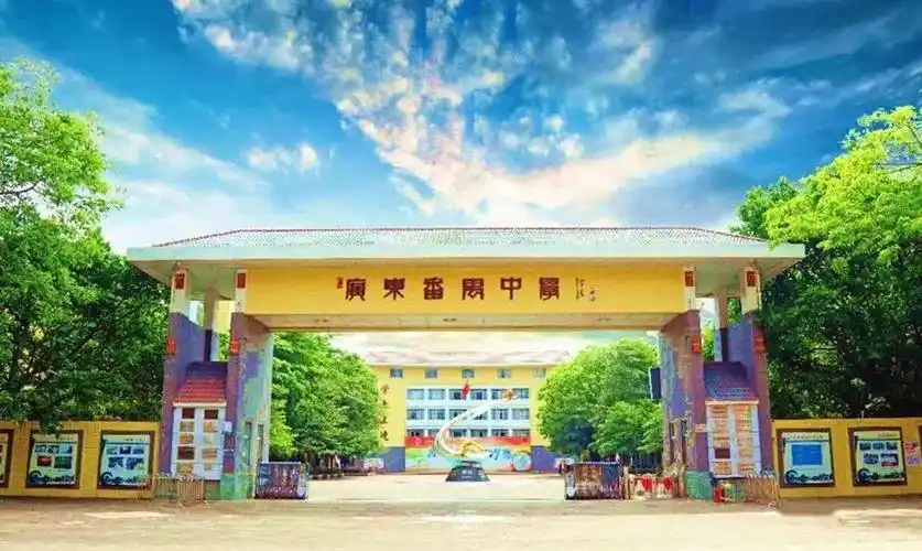 2021年广州中考补录分数线出炉!仲元689,番中652……_全国政协