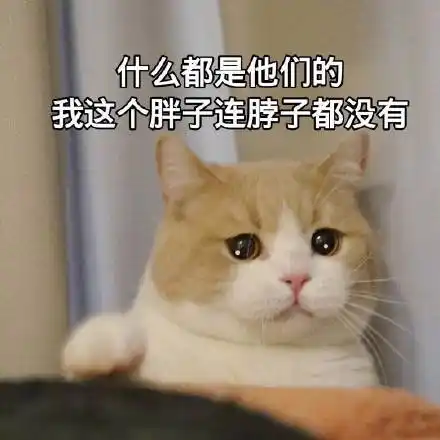 我这个胖子连脖子都没有(猫咪)_猫咪_脖子_胖子_这个_什么表情