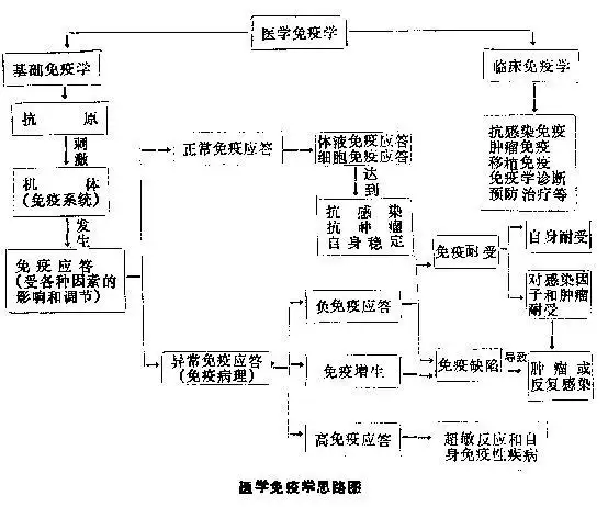 医学免疫学思路图(原来的路径失效了,帮天天再帖一遍)