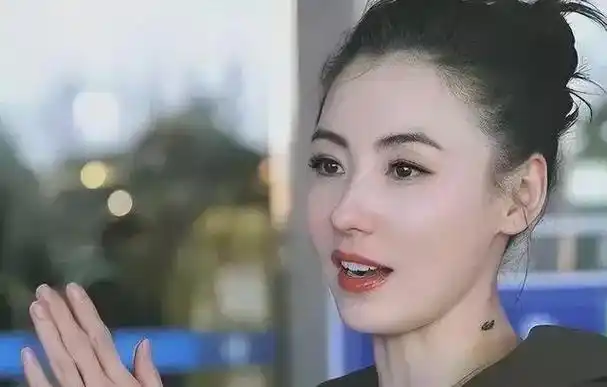 张柏芝不再忍耐被三胎生父孙东海家暴将其告上法庭引发争议