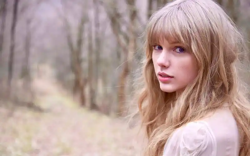 色彩修复 中英字幕|safe and sound~taylor swift