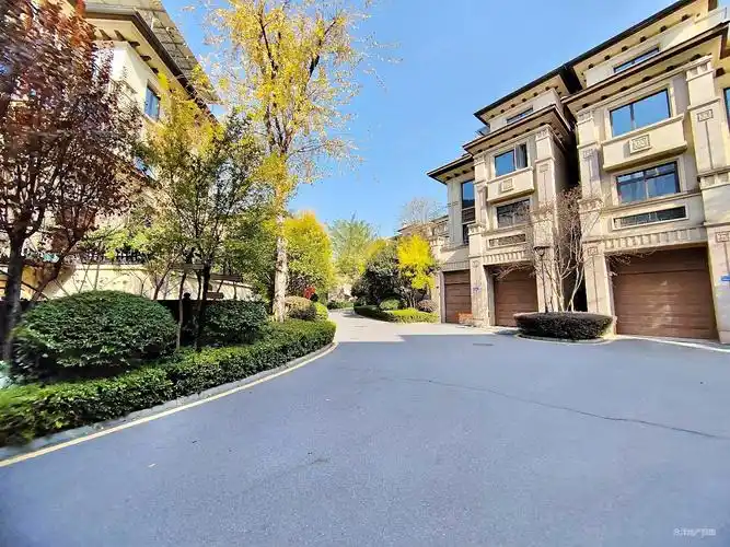 龙湖湘风原著(a2别墅)3室2厅3卫158.31㎡南北280万