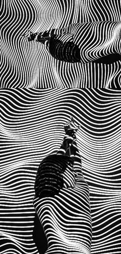 06277_条纹艺术作品曲线起伏凹凸不平抽象艺术.jpg