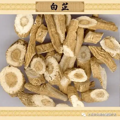 每天学一味中草药——白芷(彩图)_验方_功效_夏枯草