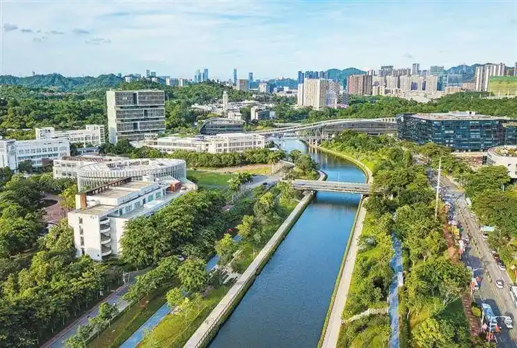 西丽湖国际科教城:越来越"犀利"的高质量发展引擎_深圳_创新_论坛