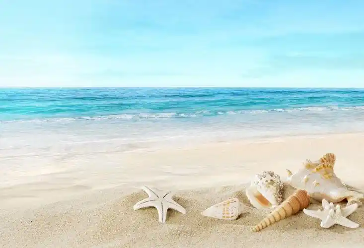 夏日海滩上的金色海星和蝴蝶