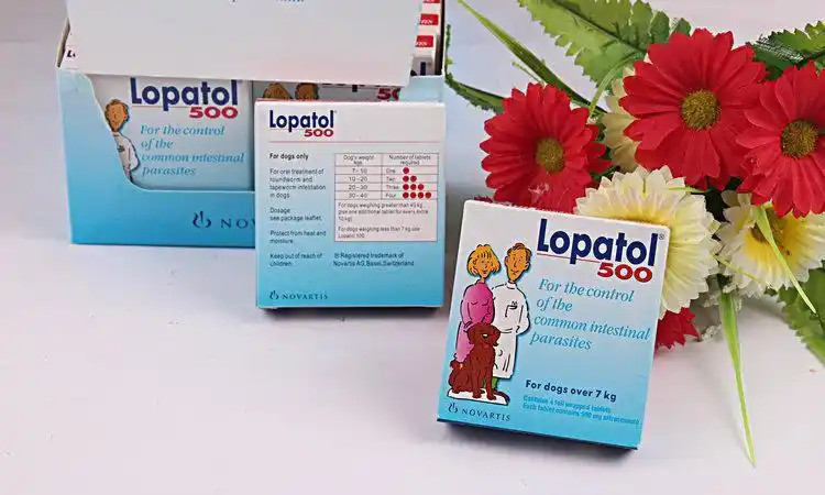 现货批发瑞士汽巴 500 大狗专用宠物驱虫药 4片/盒拜耳体内寄生虫