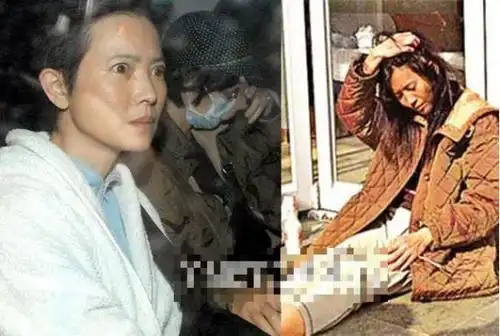 刘嘉玲蓝洁瑛遭大佬强奸 翁虹被富商前夫扫地出门