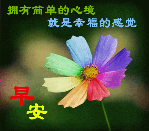 非常漂亮早上好表情包送给你天天开心顺心如意