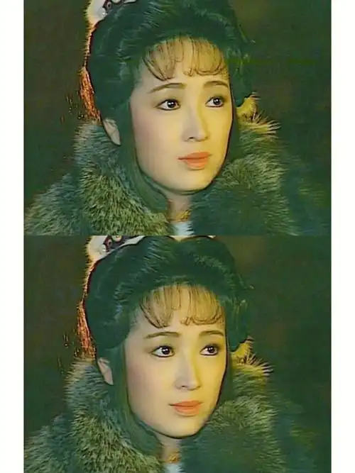 雪山飞狐播出的时候我还很小,剧情其实都记不清楚了,只记得一个温柔