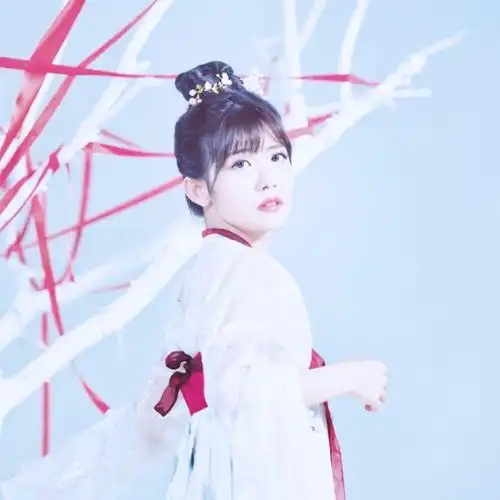 赖美云拿图看简介