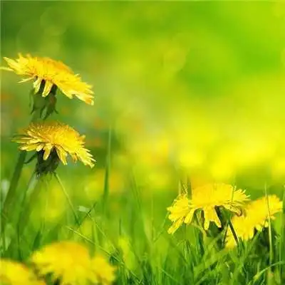 属蛇女微信吉利头像图片