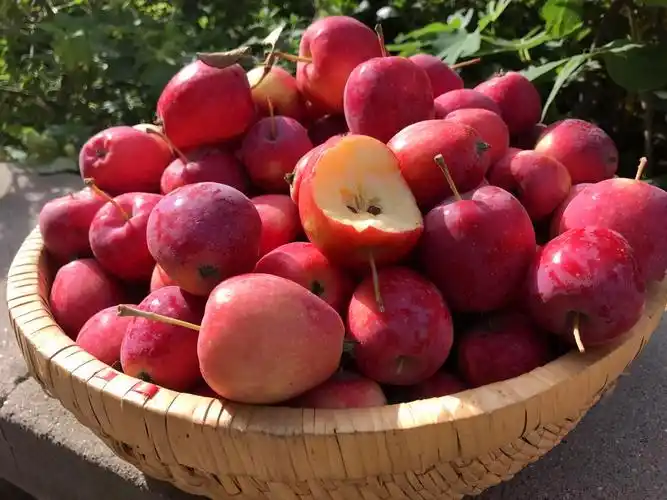 3斤包邮 2017年jji海棠果 鸡心沙果 东北特产新鲜水果 多汁酸甜