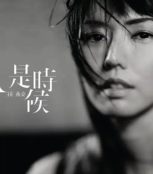 孙燕姿音乐专辑14张