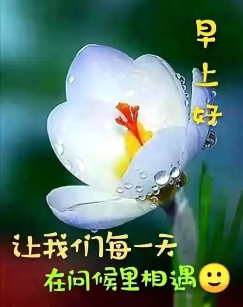 早上好表情图(13)