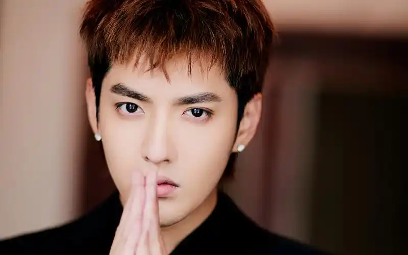 首页 桌面壁纸 大陆明星 吴亦凡黑色西装帅气图片壁纸 上一张 下一张