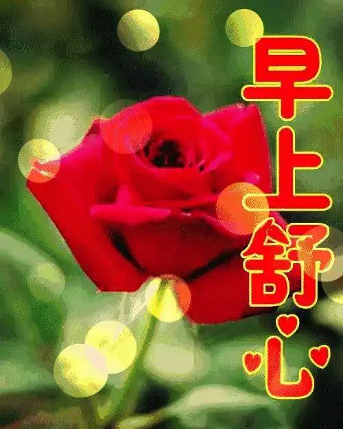 最新亲爱的早上好图片大全早上好动态表情图片