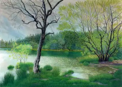 春天风景彩铅画简笔画简笔画系列原始森林怎么画小学生春天风景彩铅简