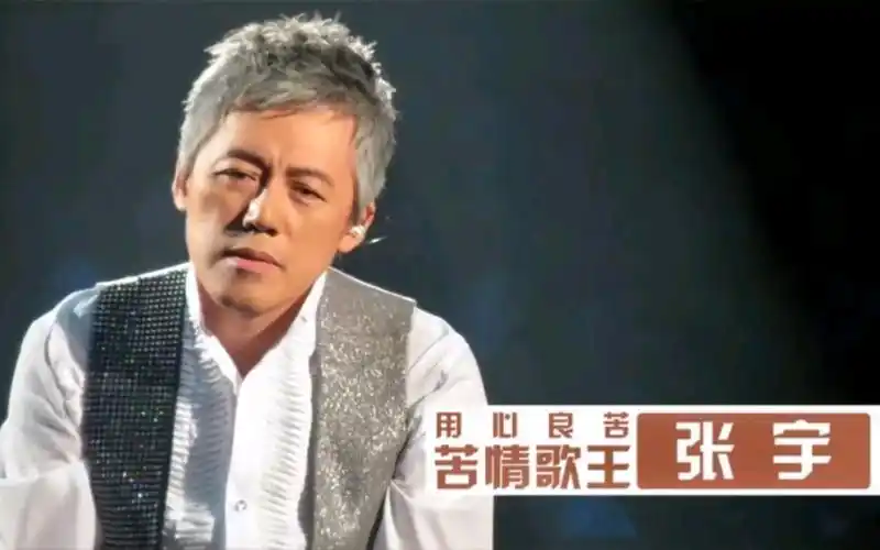 张宇苦情歌背后故事:到底是怎样的痛,让妻子写出如此悲伤的歌词